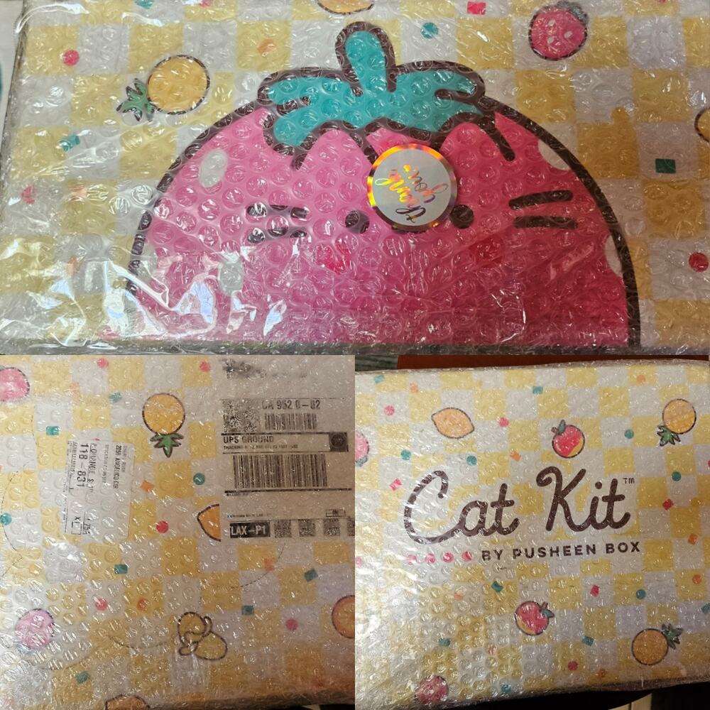 SEALED  SUMMER 2024  FRESH PICKED Pusheen Box
